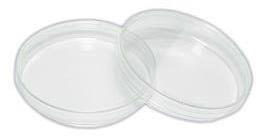 Petri Dish