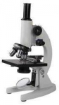 Compound Microscope