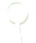 Hand Lenses (Magnifying Glasses)